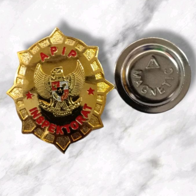 PIN APIP INSPEKTORAT