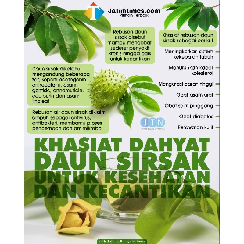 

Daun Sirsak segar_daun Fresh 10 Lembar, Obat Herbal