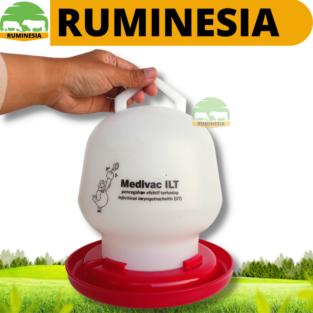 TEMPAT MINUM AYAM 2 LITER - Alat Minum Ayam MEDION