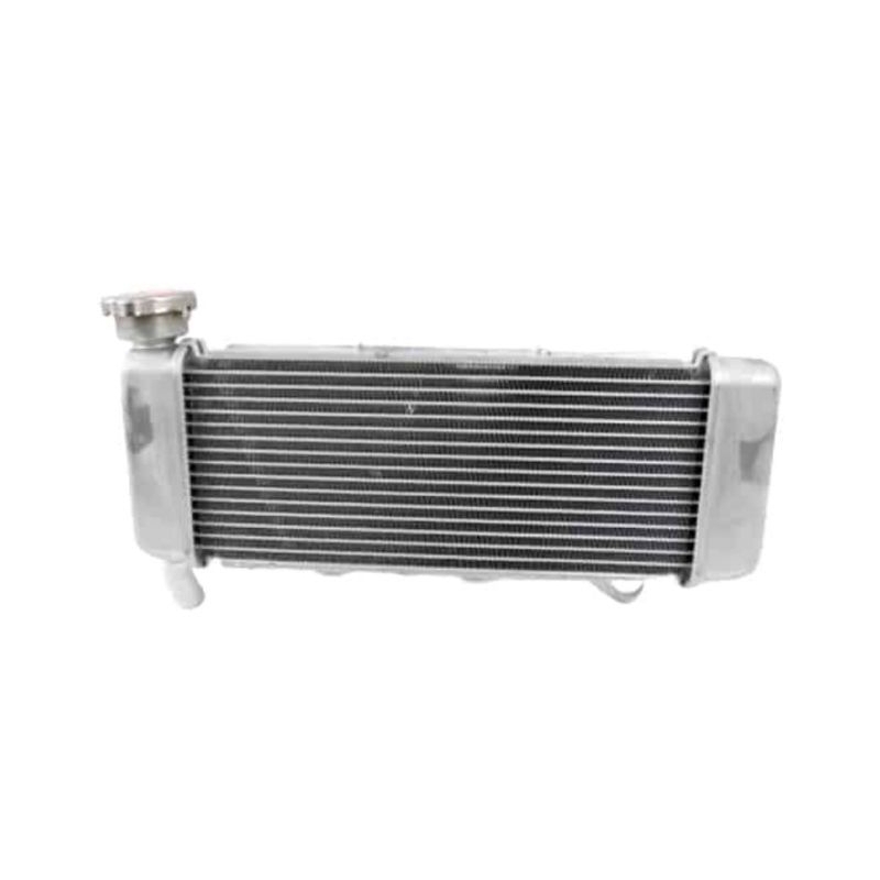 Radiator New CB150R K15P CB150X CBR 150R K45R Ori Honda 19010K45NL1