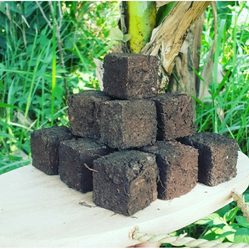 Gambut blok/kotak peat moss (jiffy peat pellet)/Media Tanam