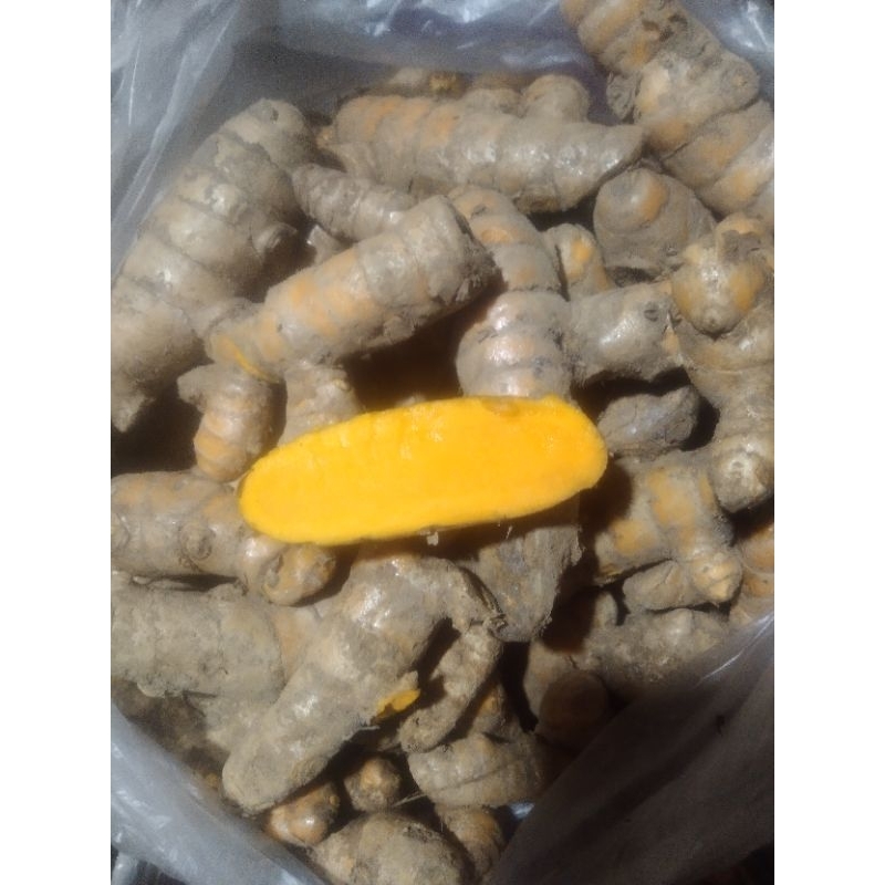 

temu lawak 1 kilo