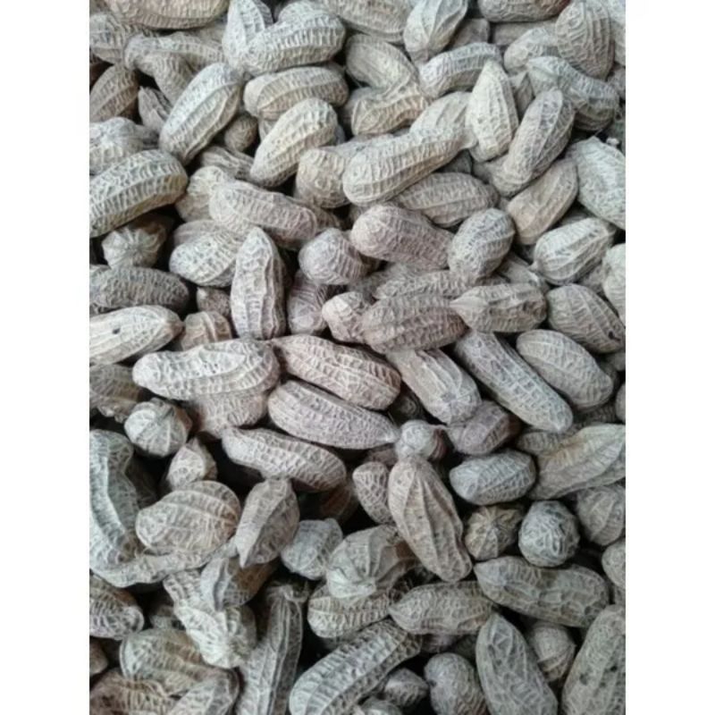 

Kacang Goreng Sangrai Bendo 1 Kg