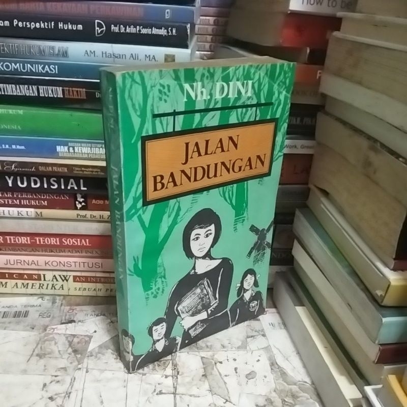 Novel JALAN BANDUNGAN by Nh Dini