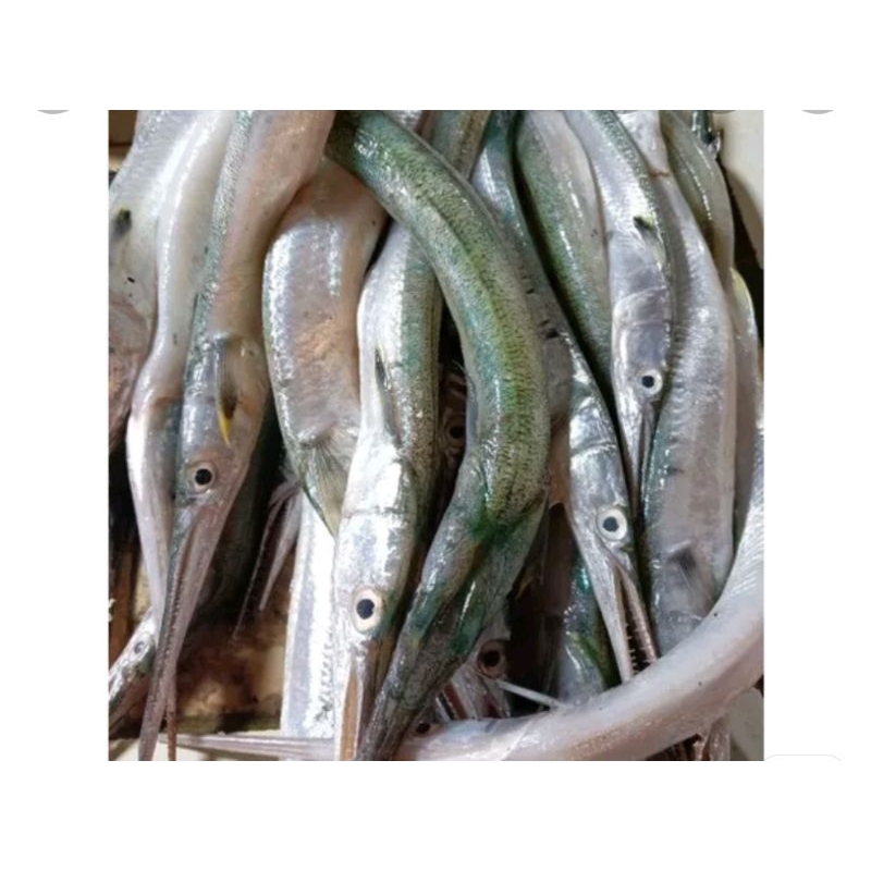 

ikan cucut segar 500gr