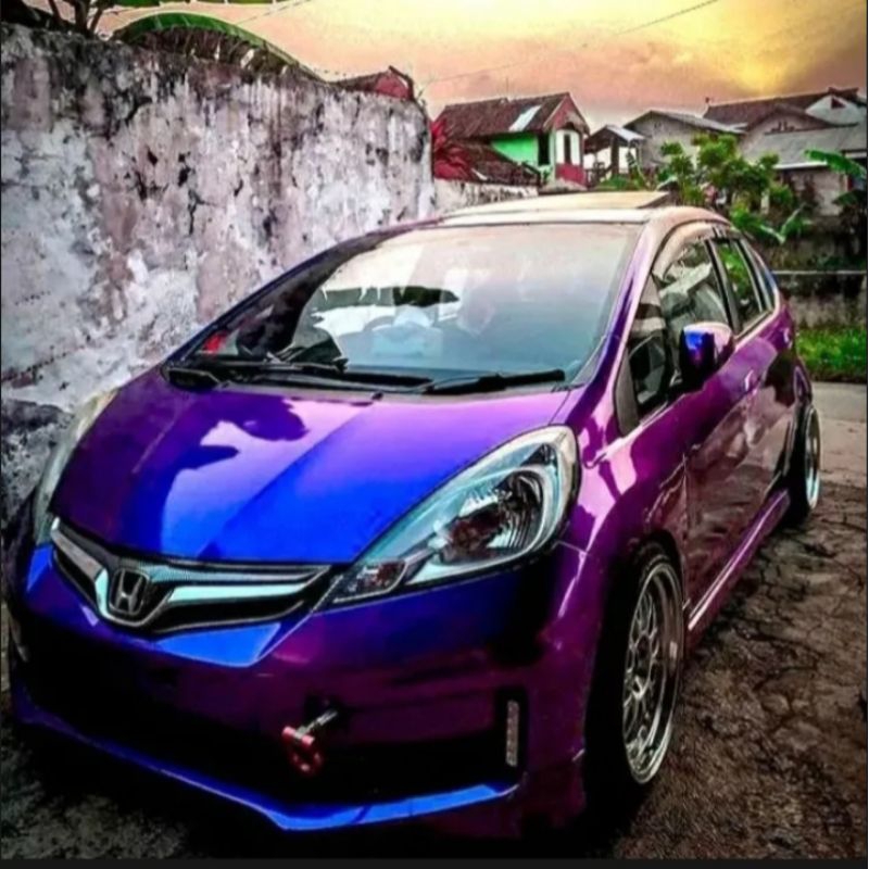 CAT BUNGLON BLUE RED PURPLE WARNA