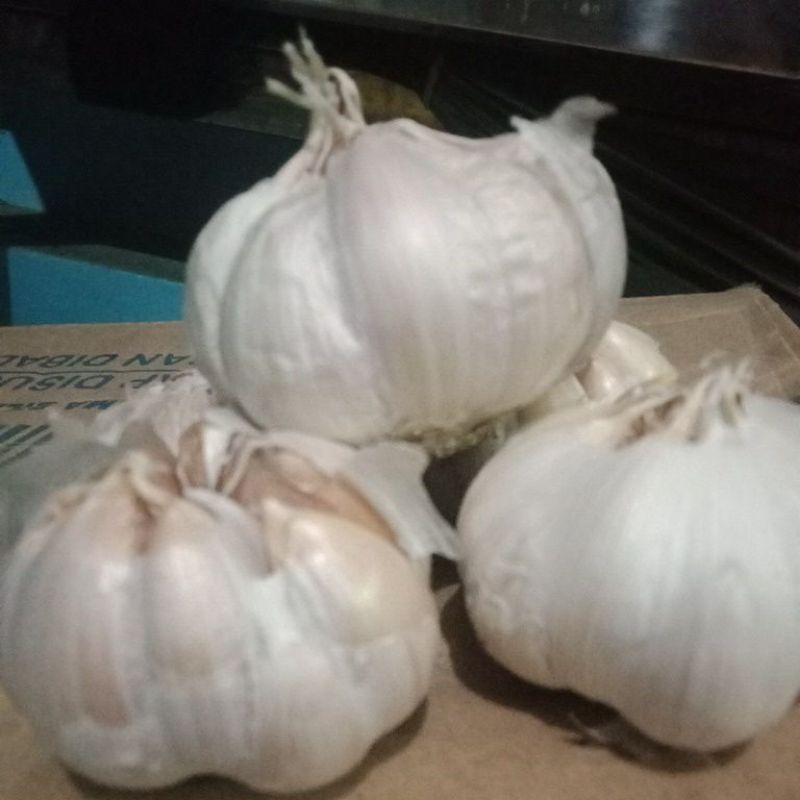 

Bawang putih sinco1/2kg