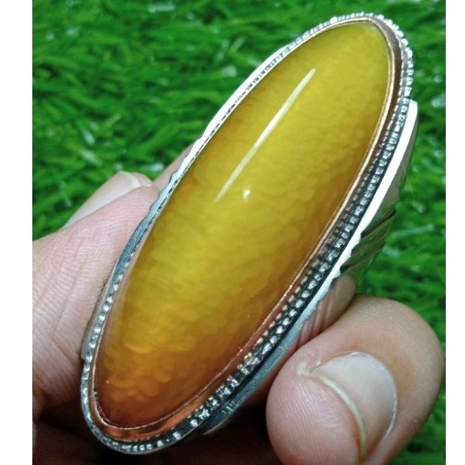 batu cincin pandan nanas sisik betok