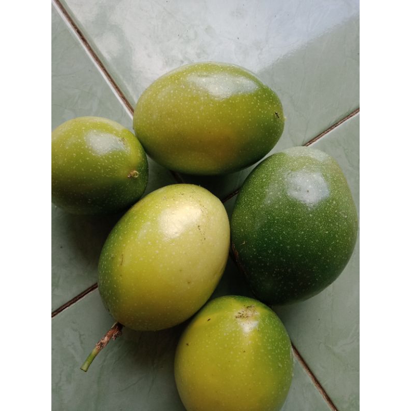 

buah markisa segar 1 kg