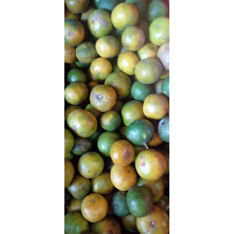

Jeruk kupas manis