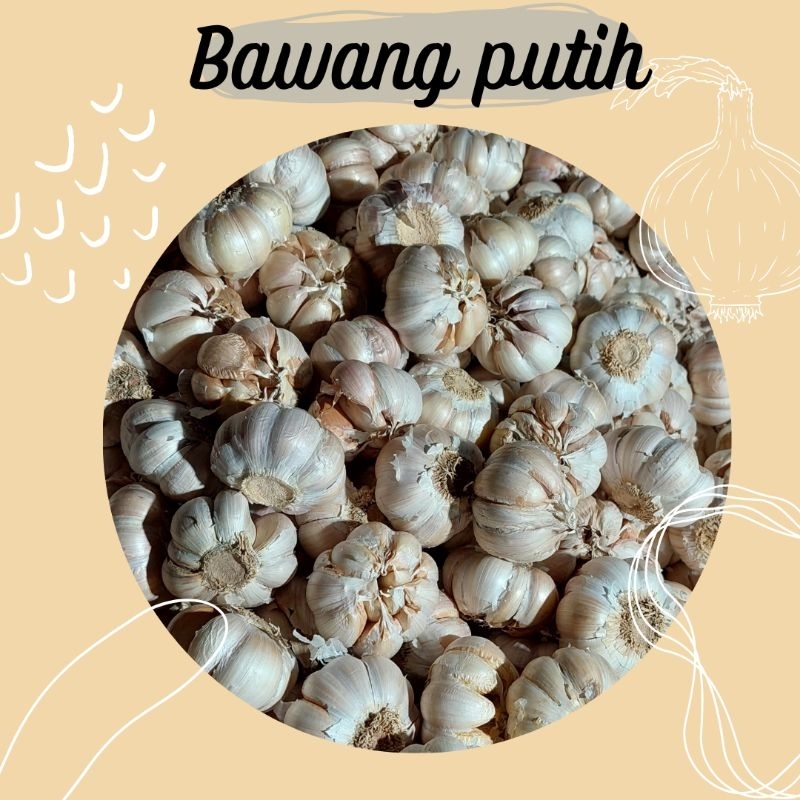 

bawang putih ½kg