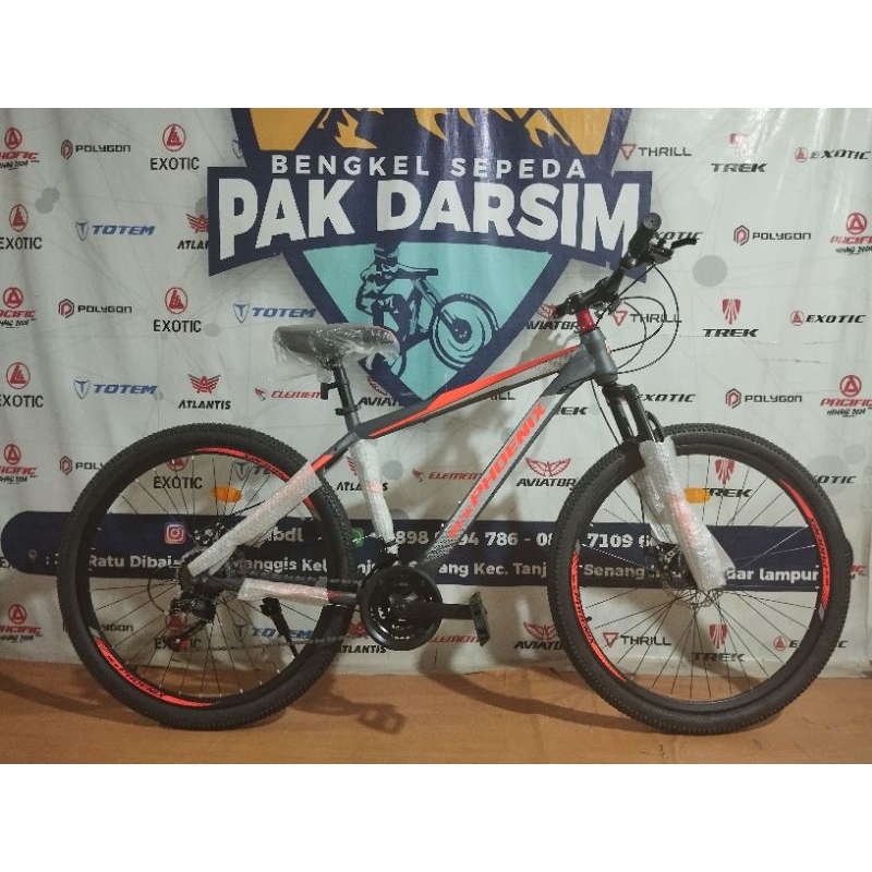 Sepeda gunung mtb New Phoenix by pacific