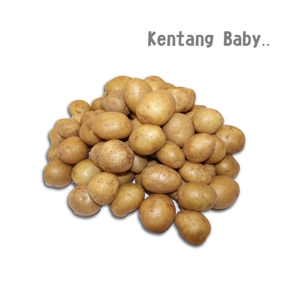 

Kentang Baby / Kentang Kecil 1KG