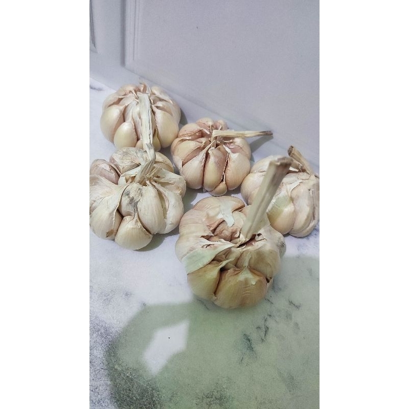 

BAWANG PUTIH SUPER BERSIH