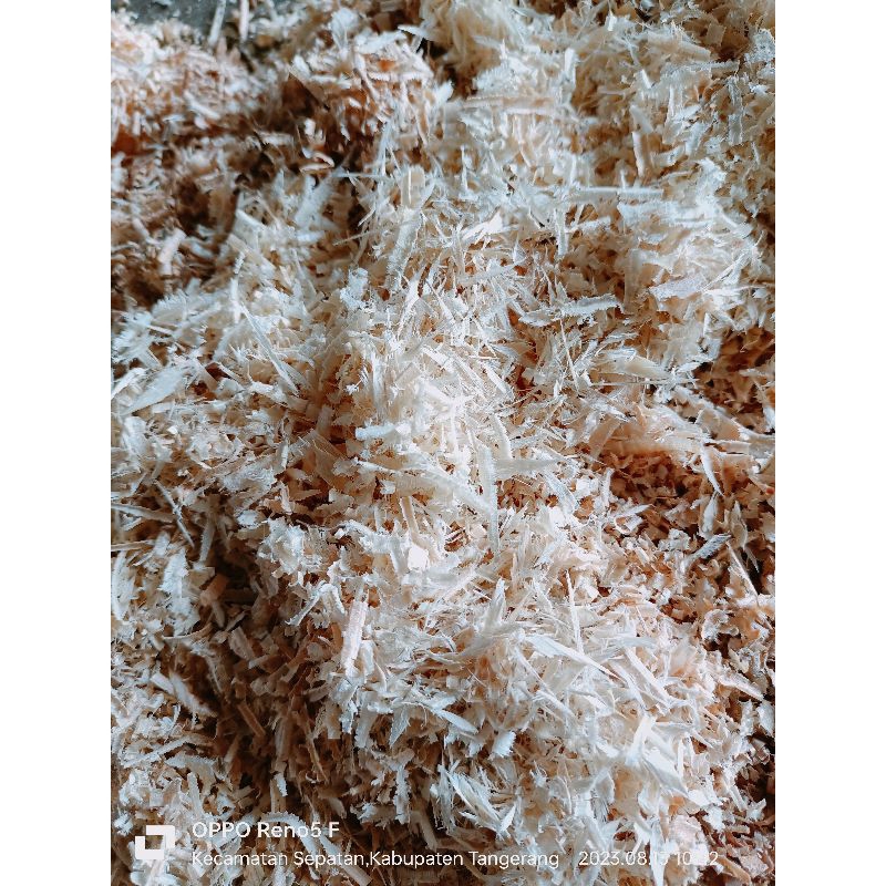 serbuk kayu jati Belanda murah meriah. bisa buat kelinci  marmut kandang kucing kangguru dan lainnya