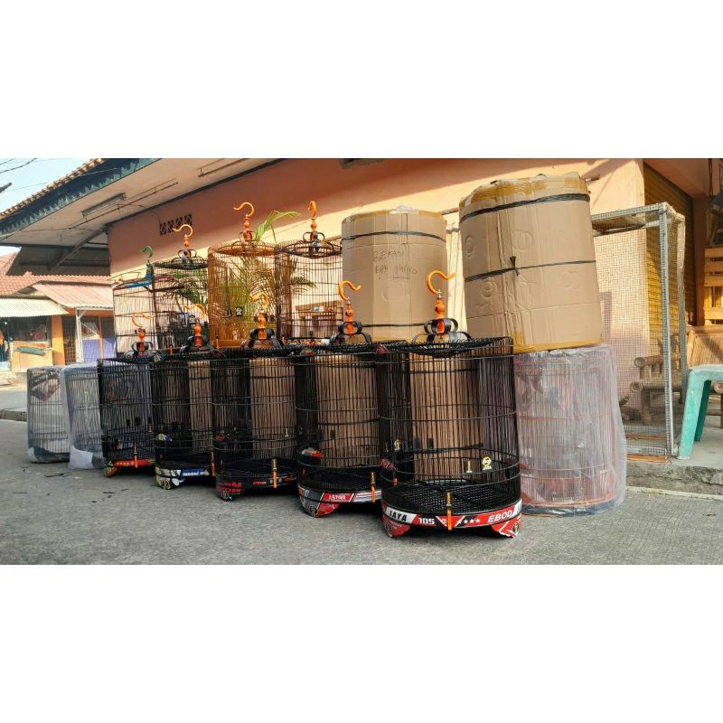 Sangkar/kandang burung Murai ebod jaya decal bambu no2