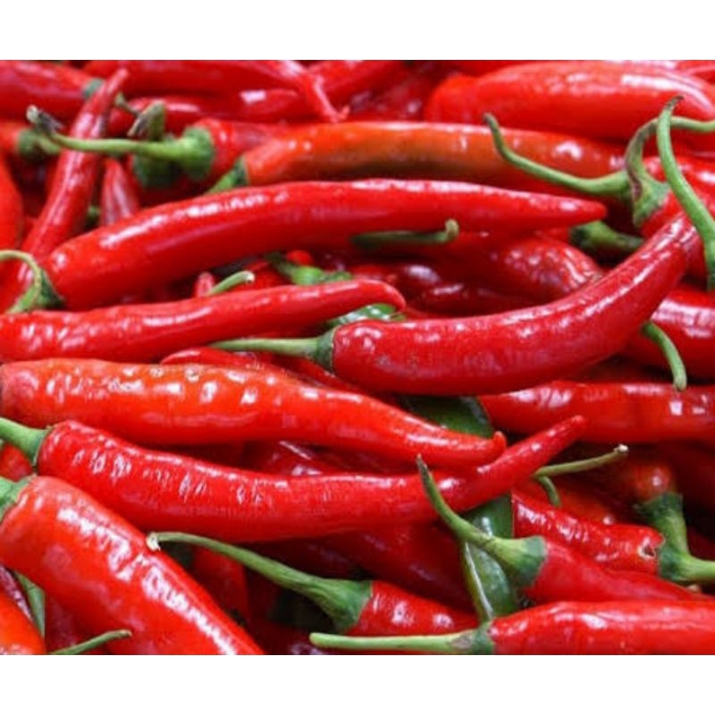 

cabe merah,bawang putih, bawang bombay