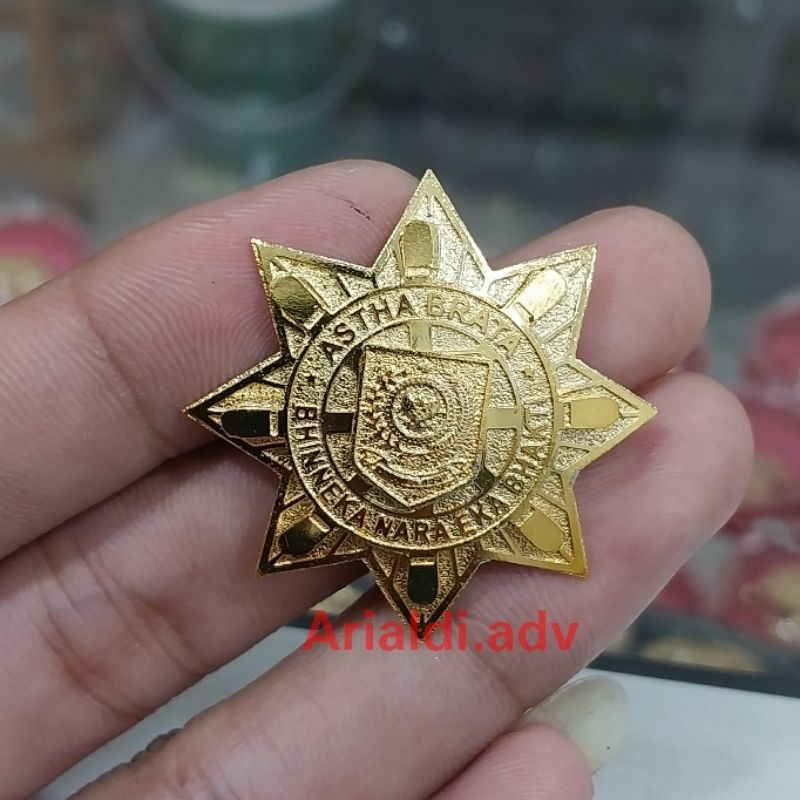pin purna IPDN pin ASTHA BRATA magnet