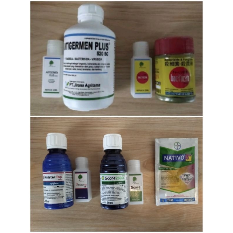 REPACK 25 ML FUNGISIDA CAIR ANTIGERMEN PLUS 520 SC, BACTOCYN 150 AL, SCORE 250EC, AMISTAR TOP 325 SC