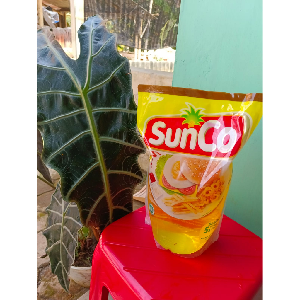 

New!!!Minyak Goreng Sunco 2Liter Berkualitas