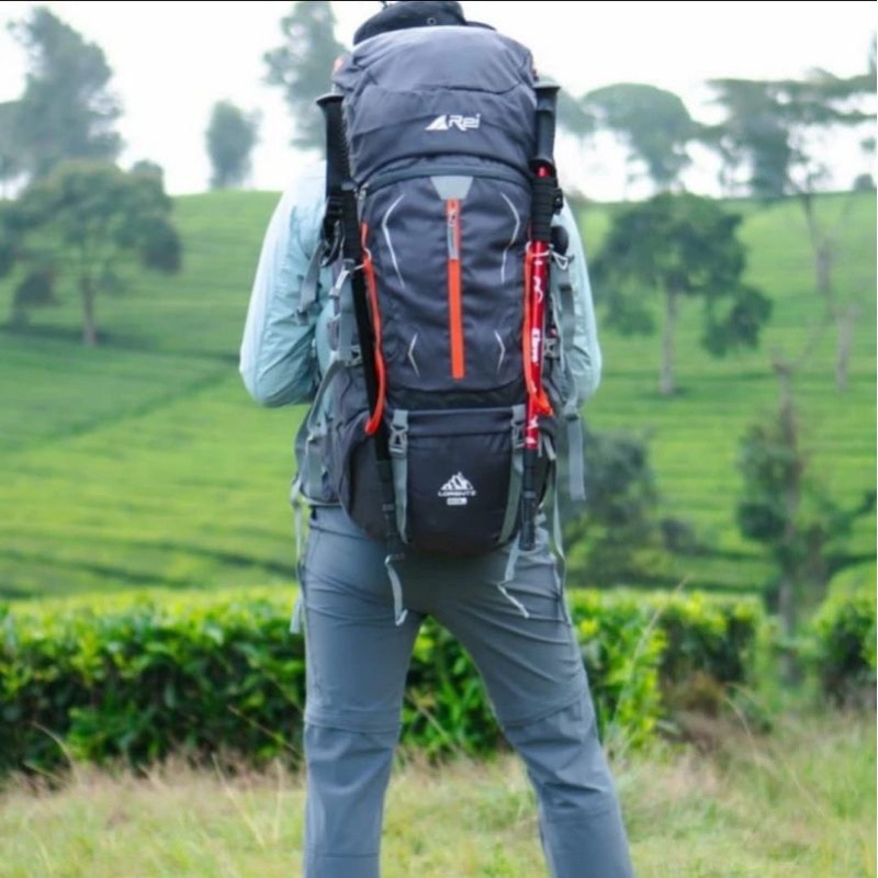 Carrier Arei Lorentz 60L