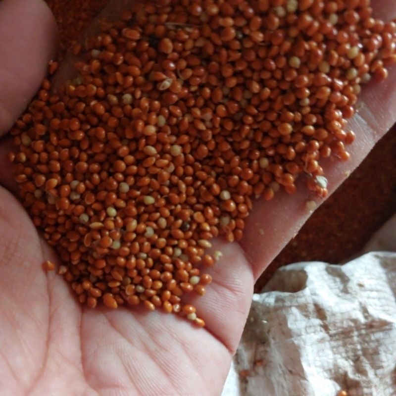milet merah 1kg