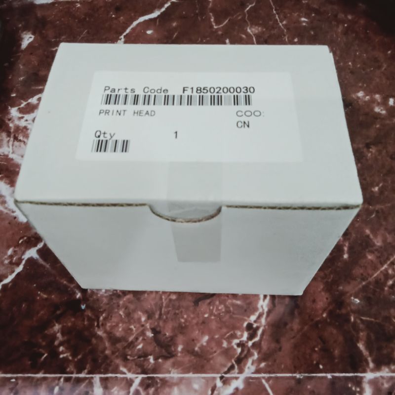 Print head Epson L1300 original