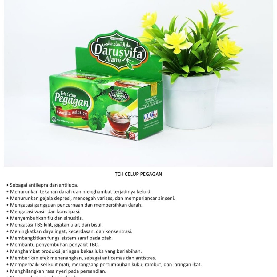 

Teh PEGAGAN Untuk Kecerdasan Otak & Melancarkan Sirkulasi Darah