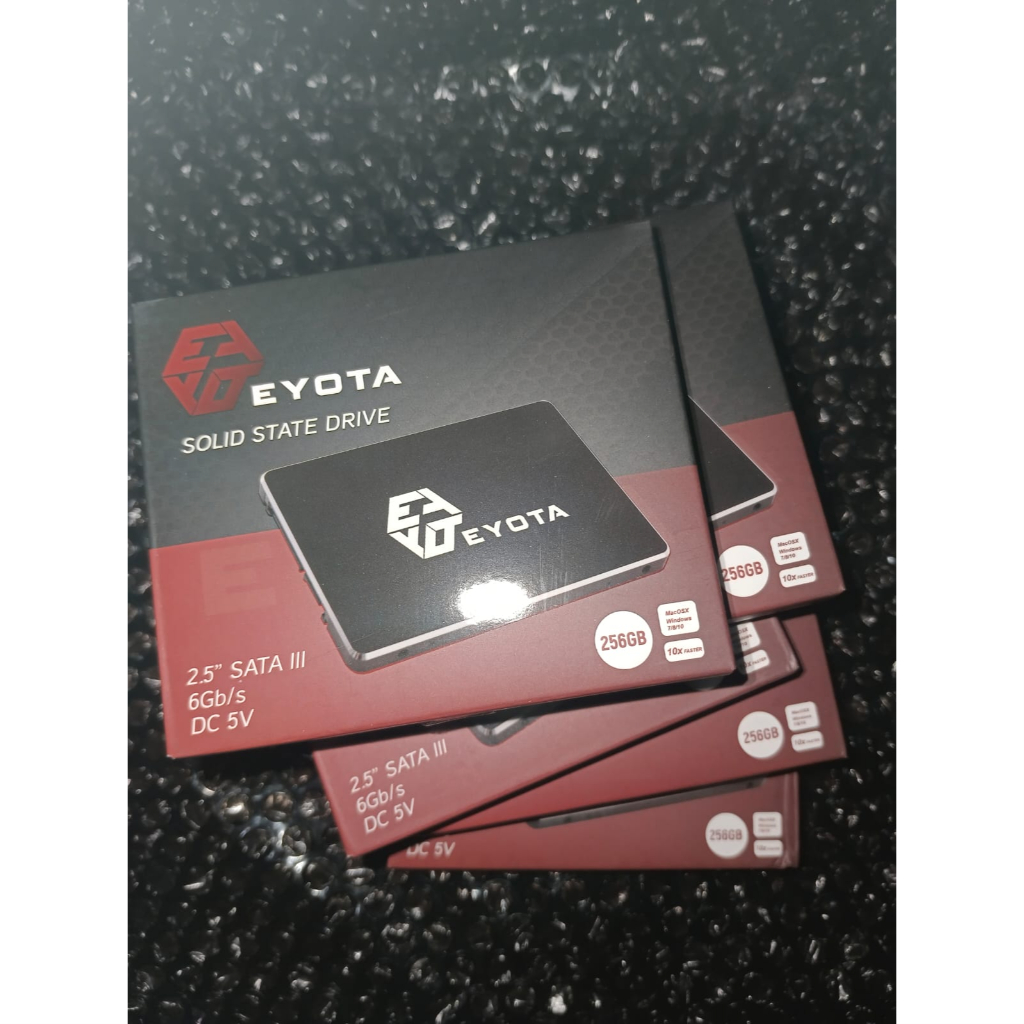 ssd 256gb eyota