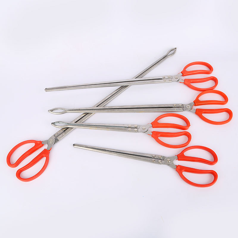 

Belut Sawah Klip Stainless Steel Ikan Mandarin Klip Khusus