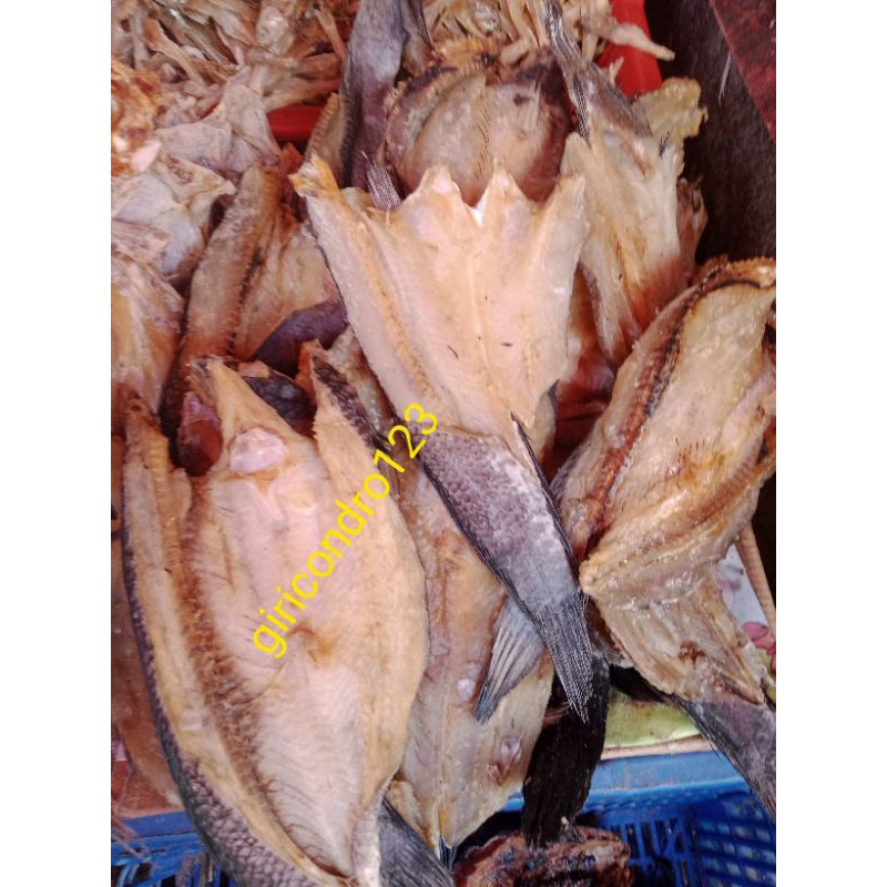 

IKAN ASIN GABUS#1KG#//ALAM BEBAS