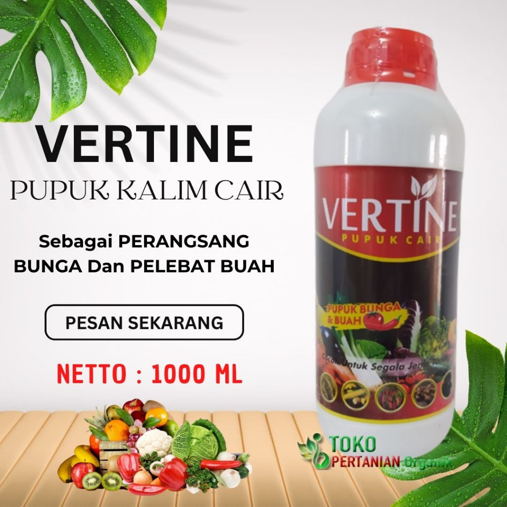 Pupuk pemicu pembesar Buah Sirsak, pupuk kalium bawang merah