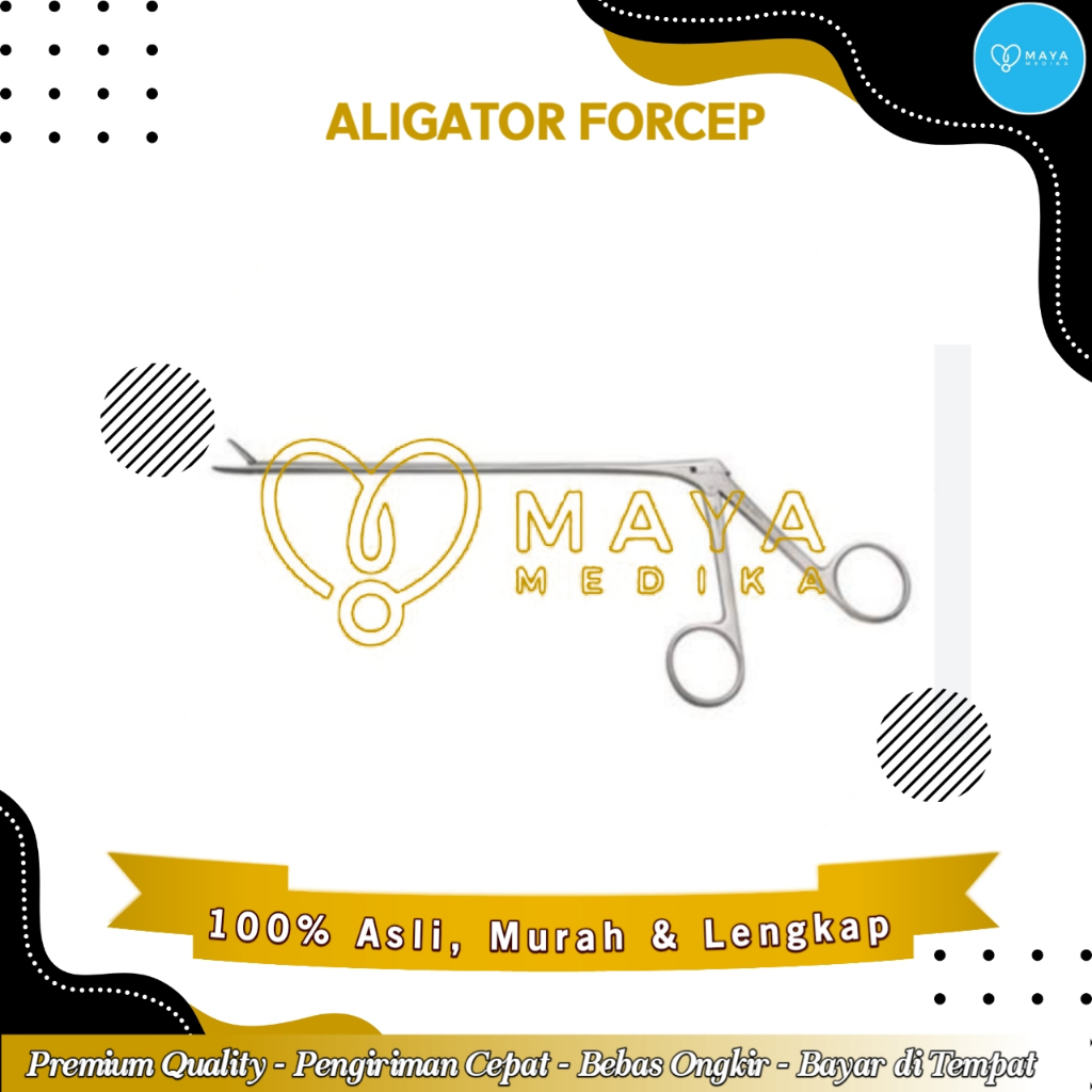 Aligator Forcep Stainless