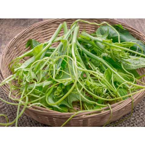 

pucuk daun labu 1 ikat