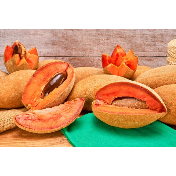 Bibit Buah Mamey Sapote Jumbo
