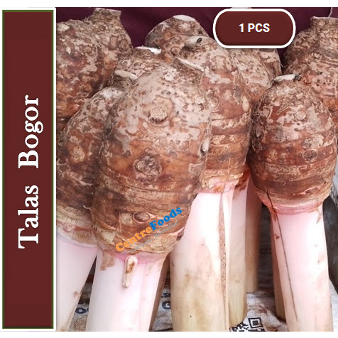 Talas Bogor - Talas Ketan Asli | 500gr [ Harga Per PCS ]
