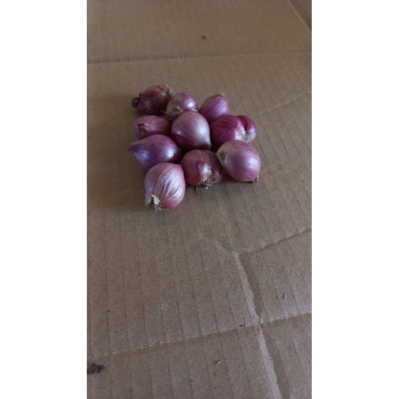 

Bawang Merah 500 gr