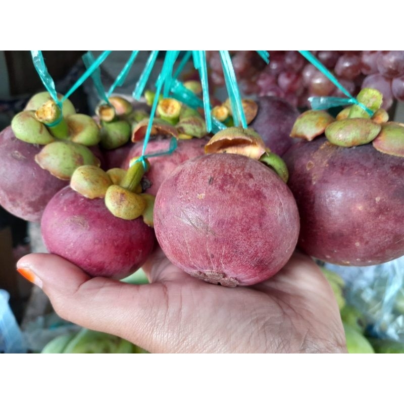 

buah manggis asli Banyuwangi manis segar 1 kg