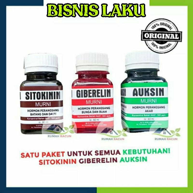PAKET AUKSIN, GIBERELIN, SITOKININ ZAT PENGATUR TUMBUHAN ZAT PENGATUR BUAH DAN BUNGA