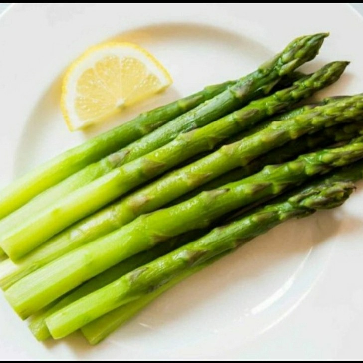 Benih Bibit ASPARAGUS Marry Washington / Asparagus Seed