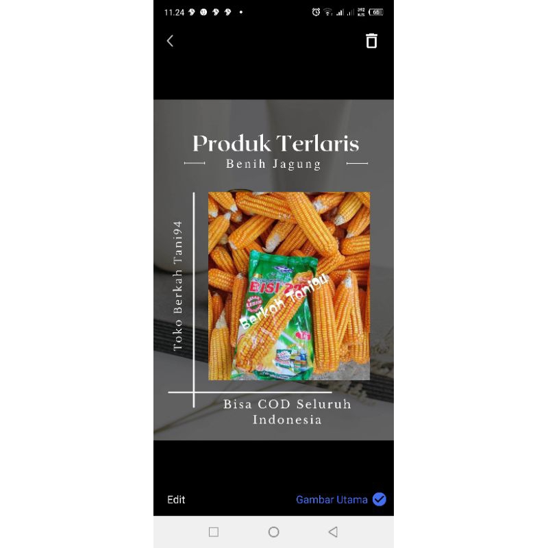 Bisi 228 Benih Jagung Bisi 228 kemasan 1kg Original