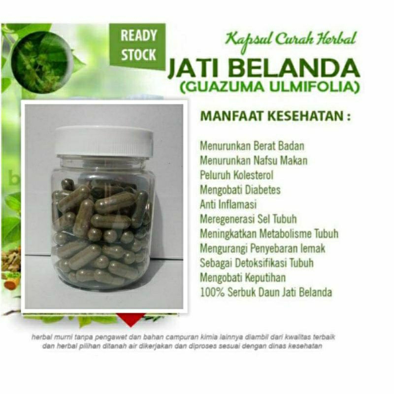 

JATI BELANDA 100 KAPSUL OBAT HERBAL TERBAIK (PREMIUM QUALITY)