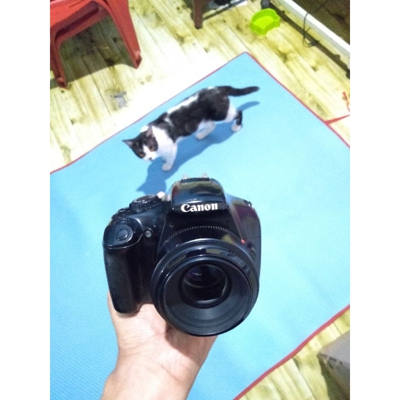 canon 1100d bekas