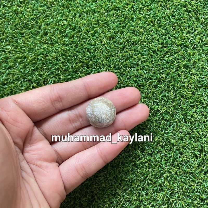 batu akik teratai tunggal (N)