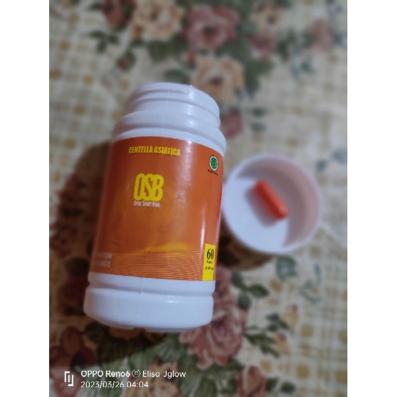 OSB vitamin multifungsi