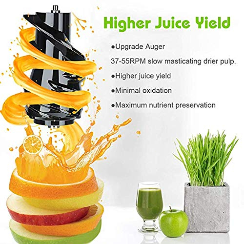 [BISA COD]Slow Juicer RPM 65 Electric Fruit Juicer 150W 99% FRESH FRUIT MULTIFUNGSI ALAT PERAS JUICE Pembuat Jus Pure Juice Cold Juicer Anti-tetes Mudah Dibersihkan, untuk Sayuran Buah Utuh