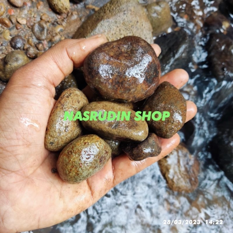 

[Fresh] BATU KALI 1KG UKURAN KECIL-SEDANG SESUAI FOTO