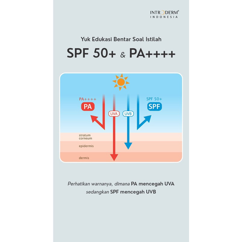 GUNMISU INDERMA SUNSERUM SPF 50 / SUNBLOCK