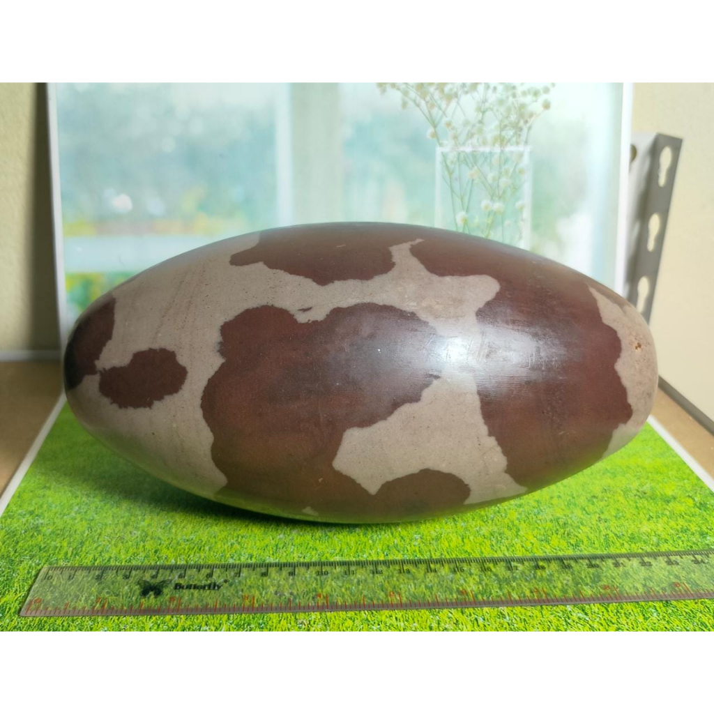 Natural Shiva Lingam Stone 23 cm (1)