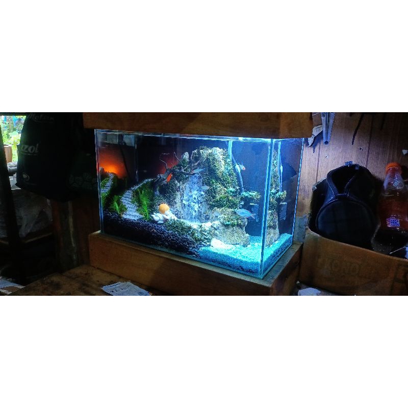 Aquascape mini waterfall | Natural | Siap pajang, fullset